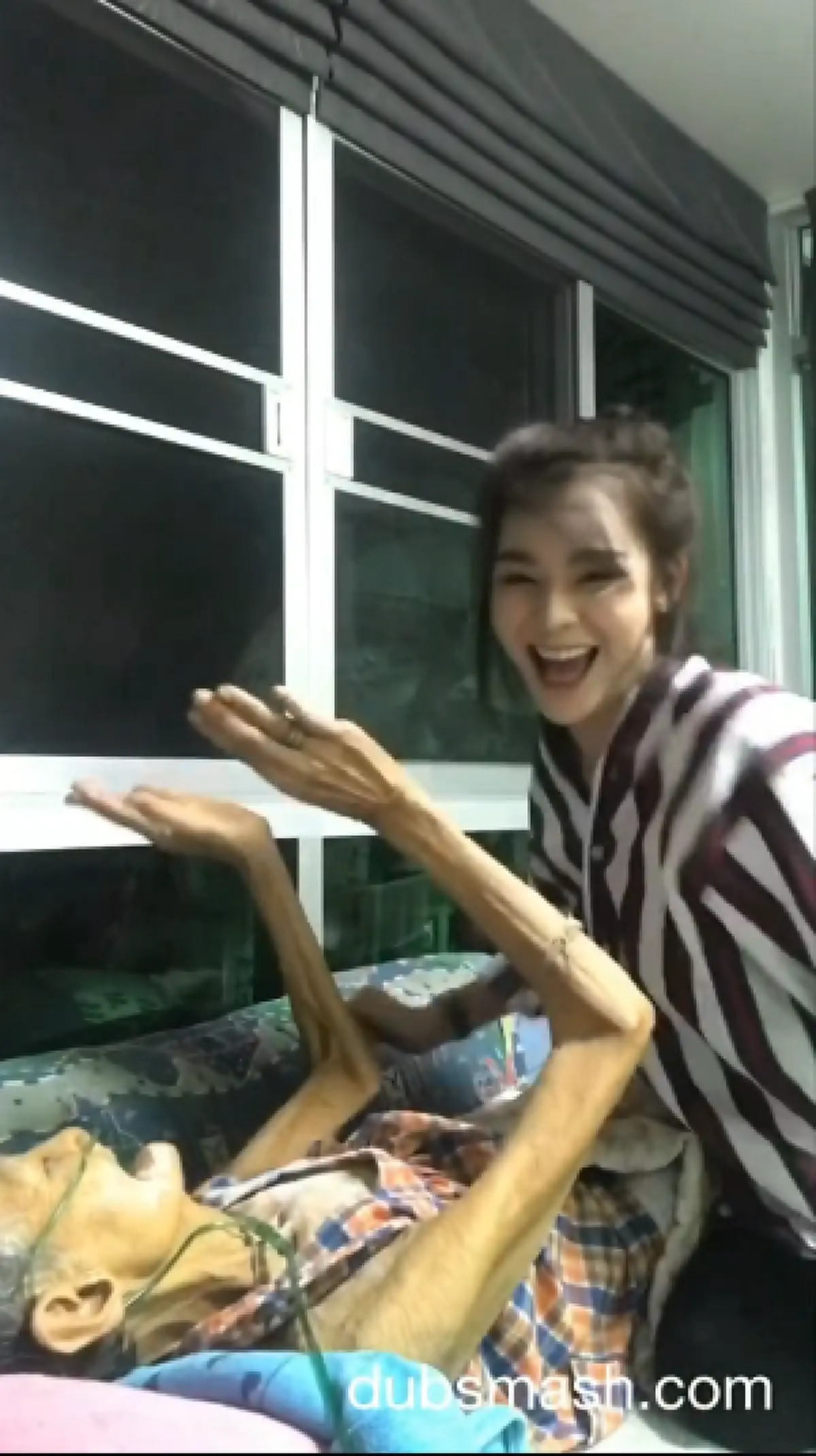 มาแรง ทะลุ 3 ล้านวิว!! "หลานสาว" โชว์เต้นสุดมันส์ ยั่วยายนอนป่วย สุดท้ายยายถึงกับของขึ้น แชร์สนั่นเน็ต!!(ชมคลิป)