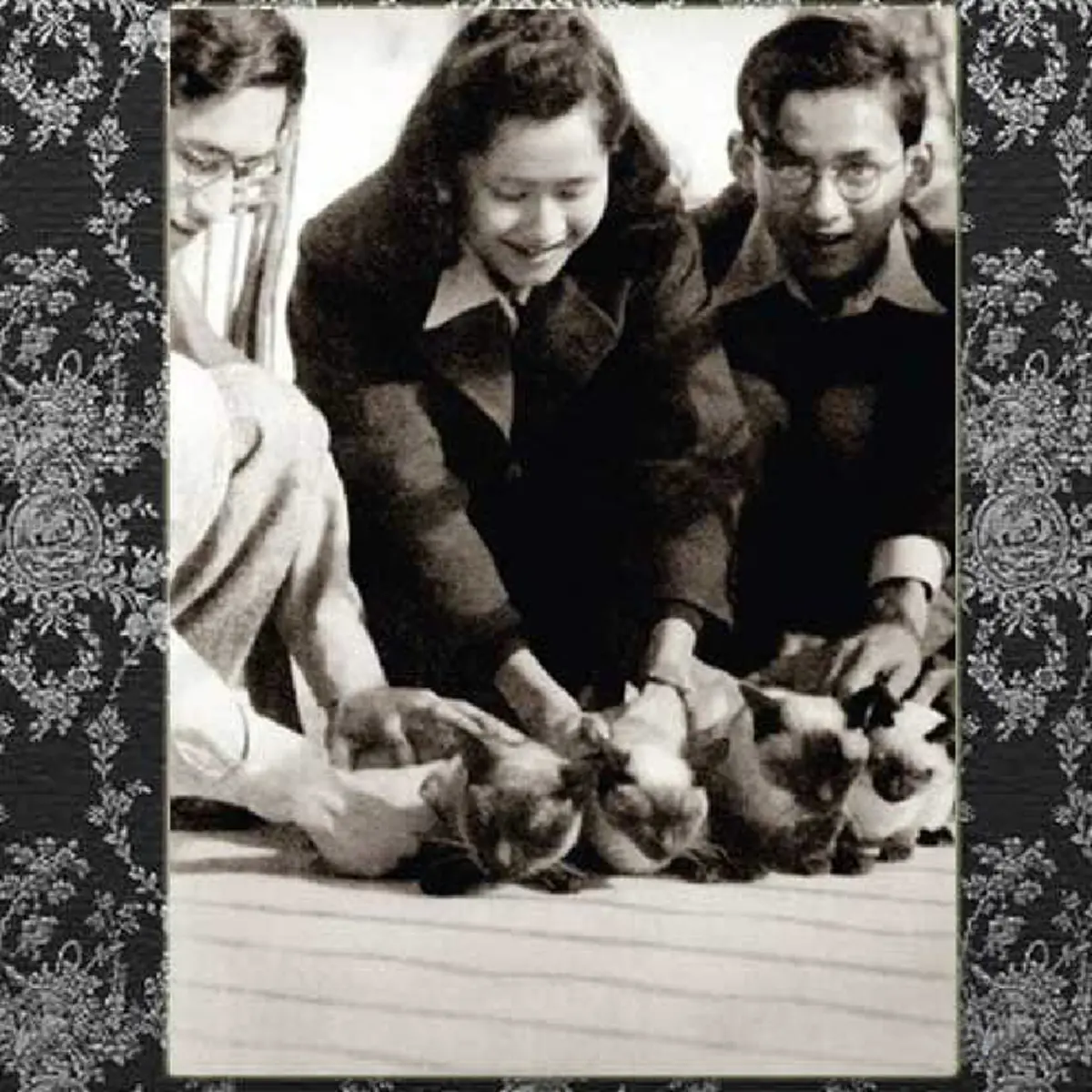 ชมความน่ารัก !! "ติโต" แมวทรงเลี้ยงของในหลวงรัชกาลที่ 9 ที่สวิตเซอร์แลนด์ (ภาพ+รายละเอียด)
