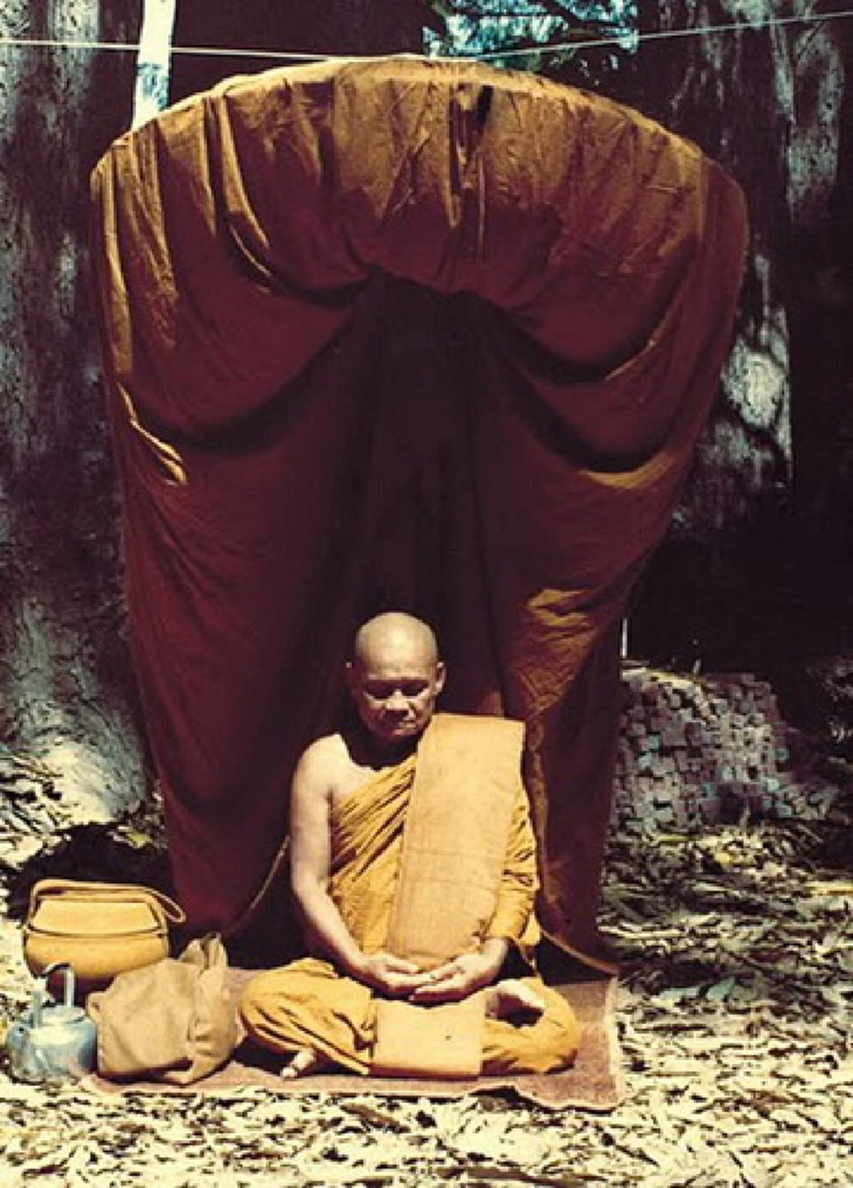 เลื้อยสยองวัด!! "จงอางหางกุด" ... งูใหญ่แห่งวัดหนองป่าพงที่เลื้อยสะกดรอยตาม "หลวงพ่อชา" ไปบิณฑบาต จนชาวบ้านหวาดผวา!!