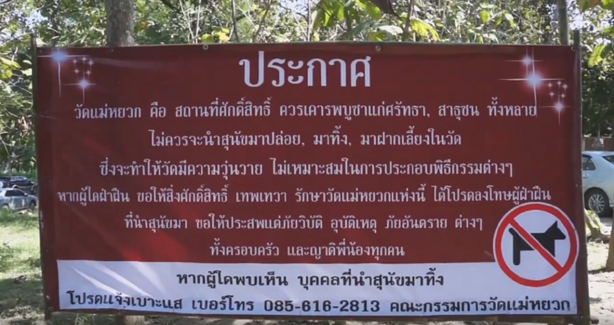 ขอให้เจอภัยวิบัติ!! เจ้าอาวาสสุดทนขึ้นป้ายสาปแช่ง ขอเทพเทวา ลงโทษให้หนัก หลังคนนำสุนัขมาทิ้งวัดต้องดูแลกว่า 200 ตัวแล้ว!!
