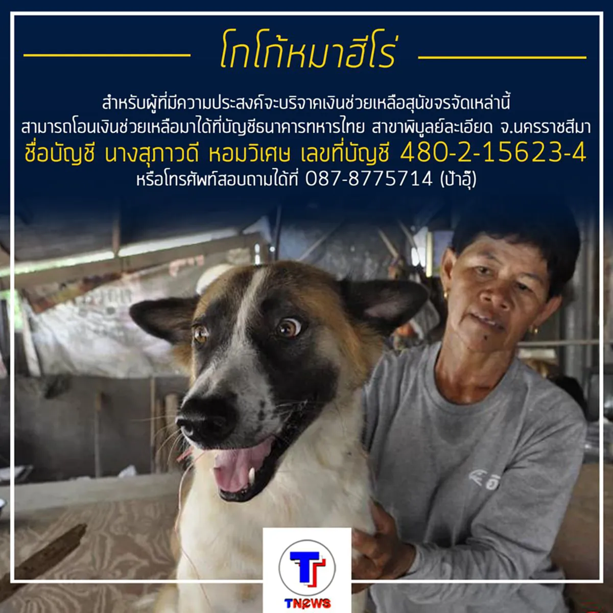 ความสุขลึก ๆ ของป้าอุ๊ ใจบุญ เลี้ยงสุนัขจรจัดกว่าร้อยตัว