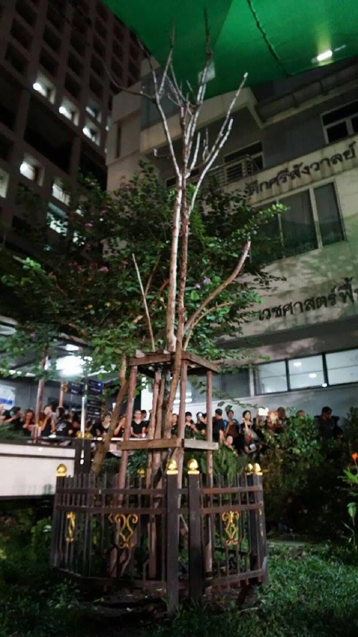 กึกก้องทั่วศิริราช!!! พสกนิกร-ชาวศิริราช ร่วมร้องเพลง "ต้นไม้ของพ่อ" ด้วยหัวใจดังกระหึ่มทั่วศิริราช ถวายอาลัยในหลวง ร.๙ (ชมคลิป)