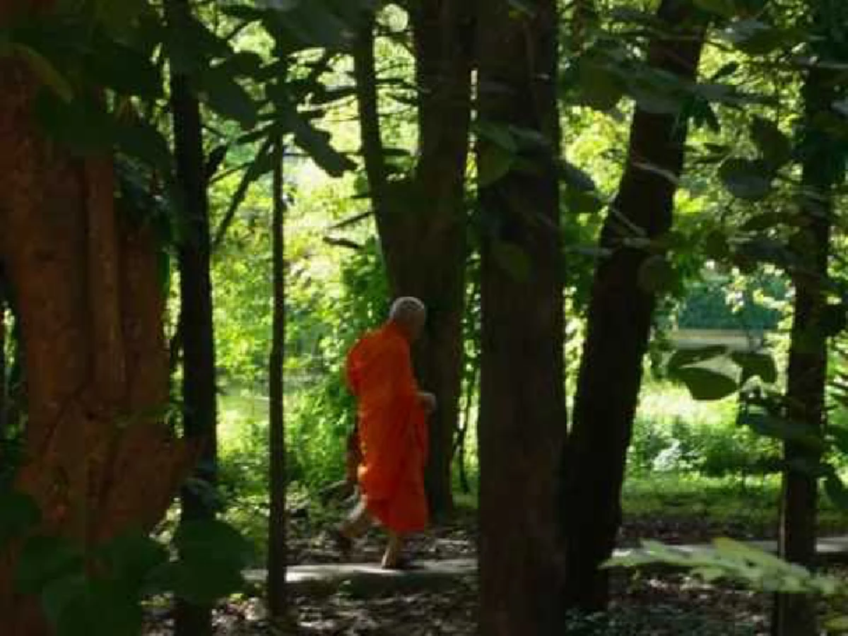 ของเสพเต็มไปหมด สุขกลับลด ทุกข์ก็ง่าย แง่คิดดีๆ เพื่อความสุขแห่งชีวิต จากท่าน สมเด็จพระพุทธโฆษาจารย์ (ป.อ.ปยุตฺโต)