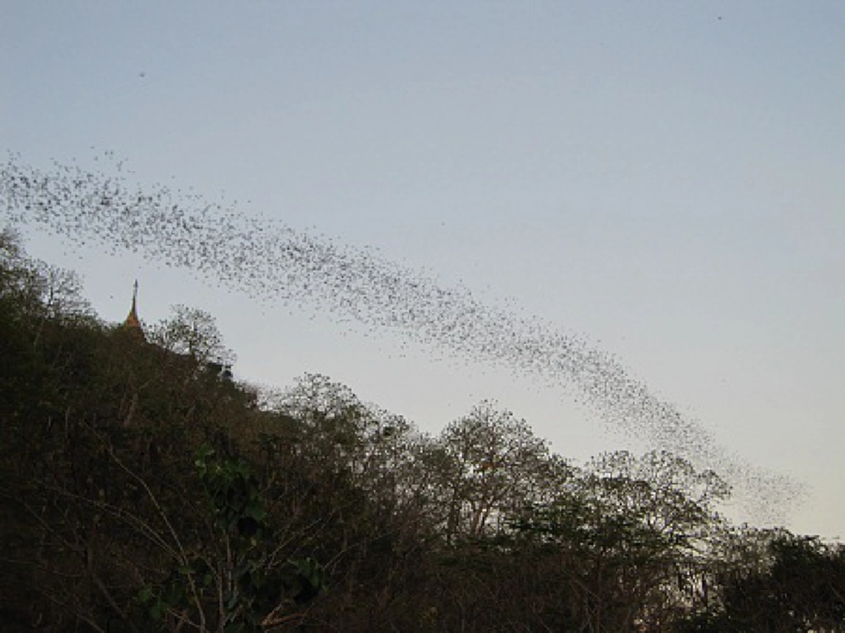 "หลวงปู่ดูลย์" ผู้คลี่คลายปริศนา "อาถรรพ์ถ้ำผาบิ้ง"!! กลุ่มควันดำที่พวยพุ่งสู่ท้องฟ้า ตามมาด้วยเสียงพิณพาทย์บรรเลงกระหึ่ม ... คืออะไรแน่?!!