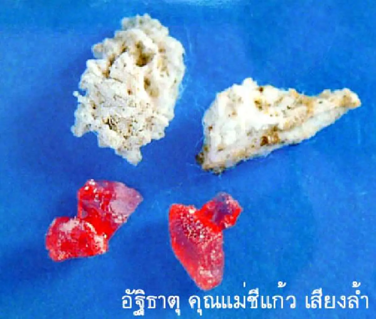 แม่ชีแก้ว ศิษย์หญิงผู้เดียวที่หลวงปู่มั่นสั่งห้ามไม่ให้ภาวนา แต่สุดท้ายก็บรรลุธรรม ชมภาพอัศจรรย์อัฐิธาตุแม่ชีแก้ว งดงามมาก!