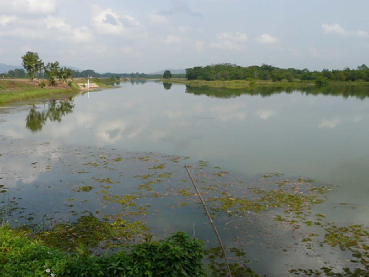 จากอ.หาดใหญ่ ถึง เมืองชุมพร พระมหากรุณาธิคุณในหลวง ร.๙ ที่ซาบซึ้งมาถึงทุกวันนี้ ทำไมน้ำถึงไม่ท่วม นี้แหละอัจฉริยภาพของพระองค์