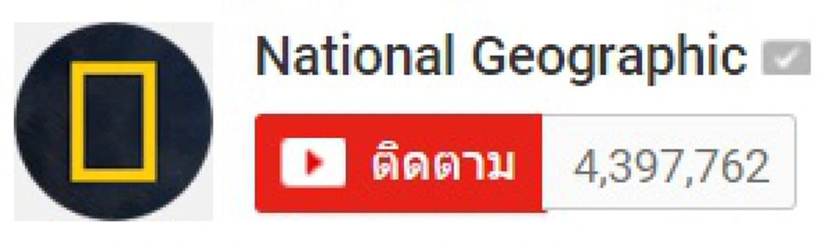 มันใหญ่มาก!! พบฟอสซิลจระเข้ ยาวกว่า 10 เมตร ขนาดใหญ่โตผิดกับจระเข้ยุคปัจจุบันอย่างน่าสะพรึง!!! 