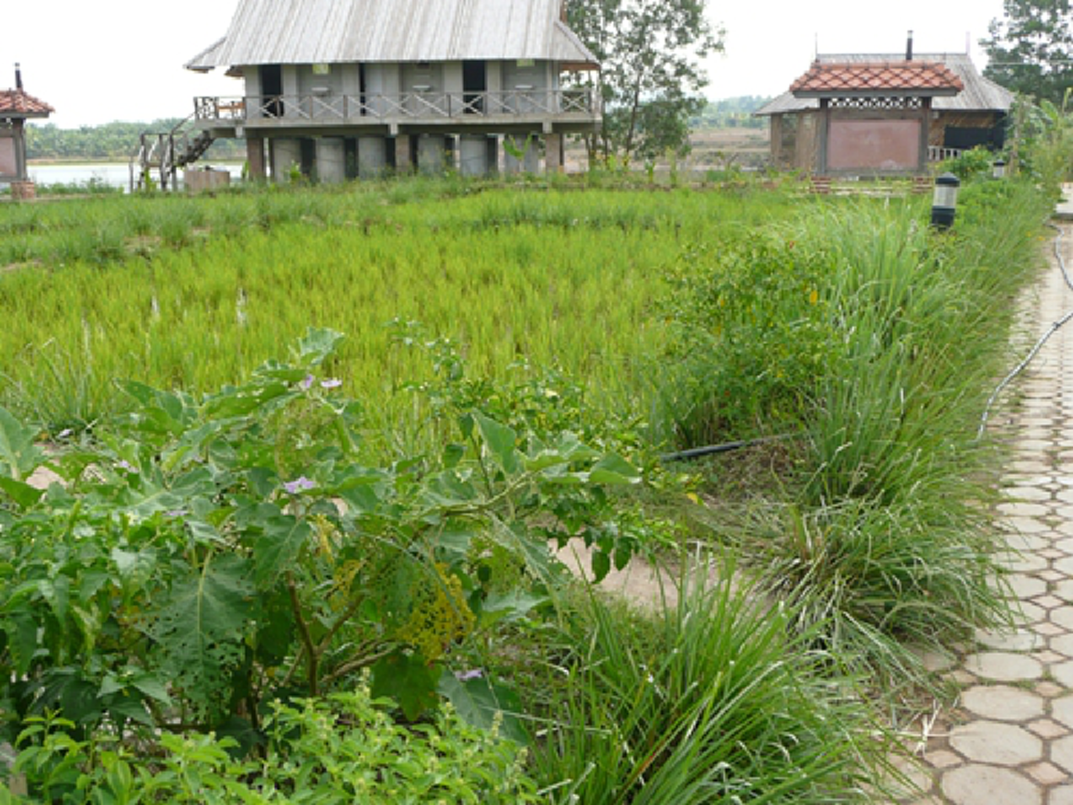 จากอ.หาดใหญ่ ถึง เมืองชุมพร พระมหากรุณาธิคุณในหลวง ร.๙ ที่ซาบซึ้งมาถึงทุกวันนี้ ทำไมน้ำถึงไม่ท่วม นี้แหละอัจฉริยภาพของพระองค์