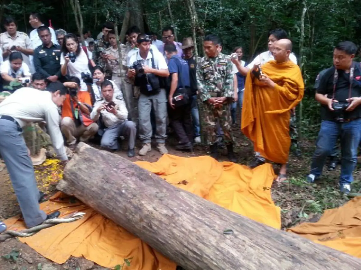 รู้มั๊ย!!ทำไมถึงใช้ ไม้จันทร์หอม ไม้ที่ใช้ทำพระบรมโกศ!?