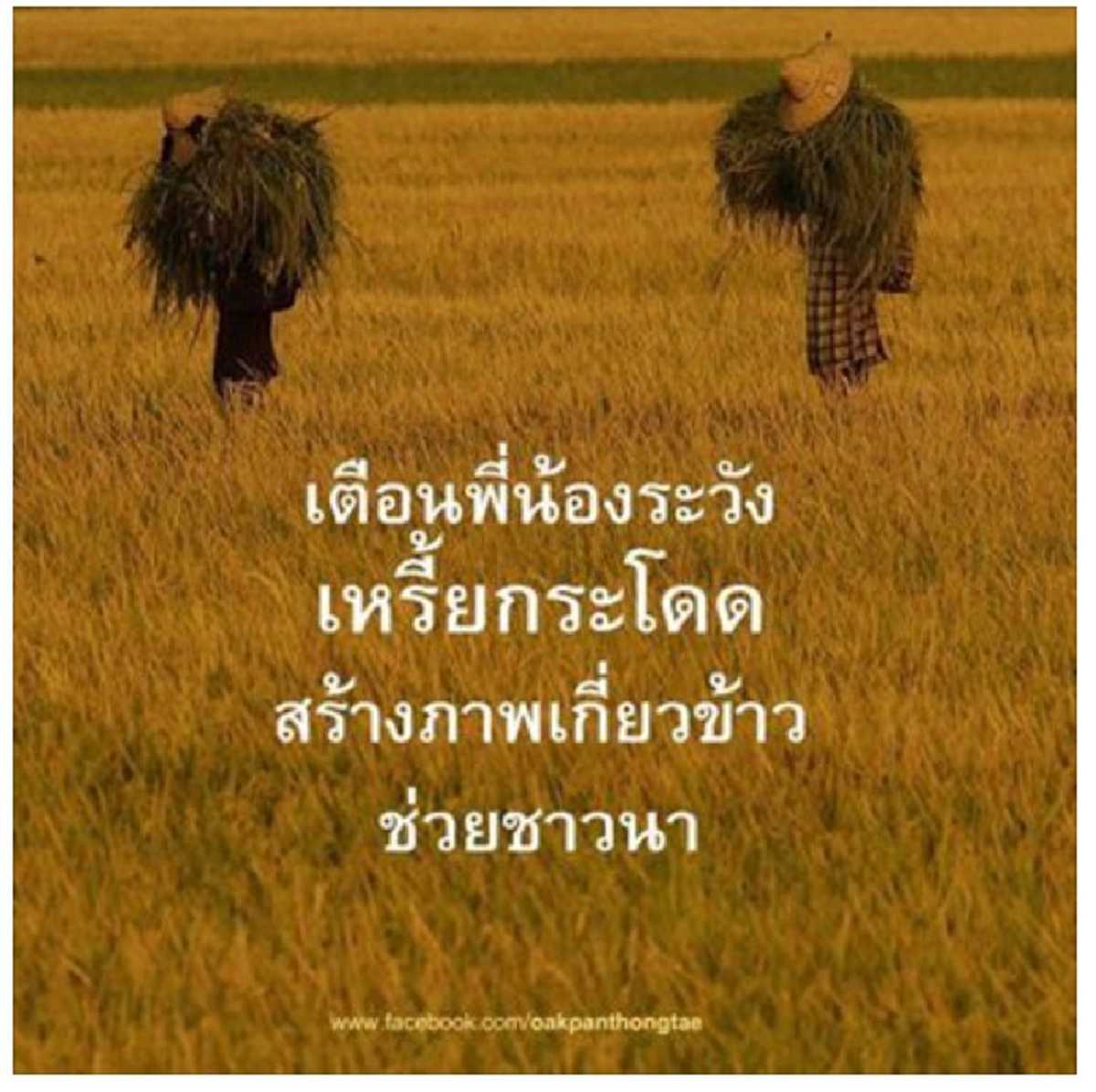 นี่ยิ่งเงิบ..ไม่แพ้อาหญิง!! สังคมสวนเดือด"ลูกโอ๊ค" "เหรี้ยกระโดด-จากพรรคไหน" โกงเงิน-ทำชาวนาฆ่าตัวตายไปนับสิบ...ใคร?!