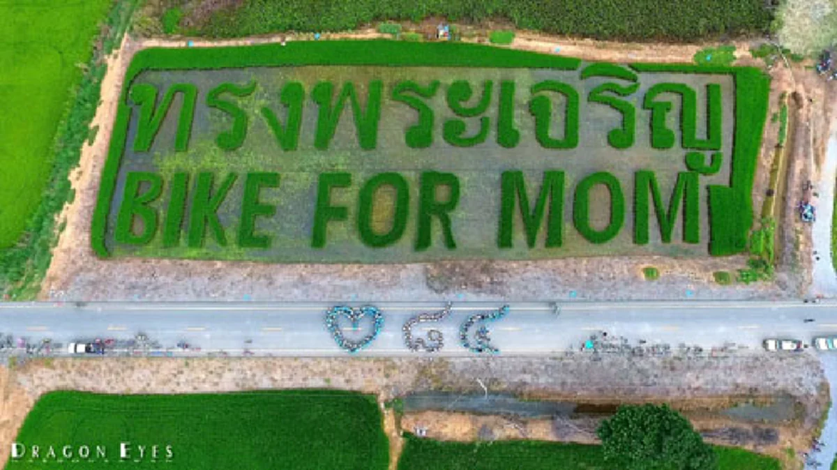 งามจับใจ!!! "ชาวนานครสวรรค์" แปรอักษรนาข้าวด้วยประโยคยิ่งใหญ่ "ทรงพระเจริญ" แสนงดงาม (มีภาพ)