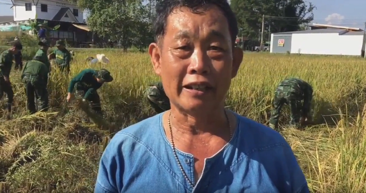 เพื่อประชาชน เราทำได้!! ทหารลงแขกเกี่ยวข้าว ช่วยลดปัญหาค่าใช้จ่ายในการเก็บเกี่ยว สร้างรอยยิ้มกลับคืนให้กับชาวนา