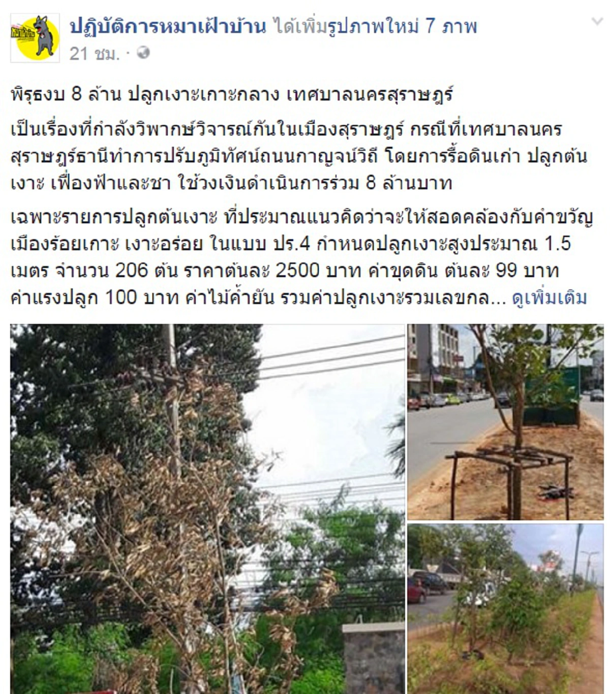 วิจารณ์สนั่นเมือง!! เพจดังแฉพิรุธเทศบาลนครสุราษฎร์ฯ ปลูกเงาะเกาะกลางถนนละเลงงบฯ8ล. คนเม้นต์พรึบคิดได้ยังงัย??