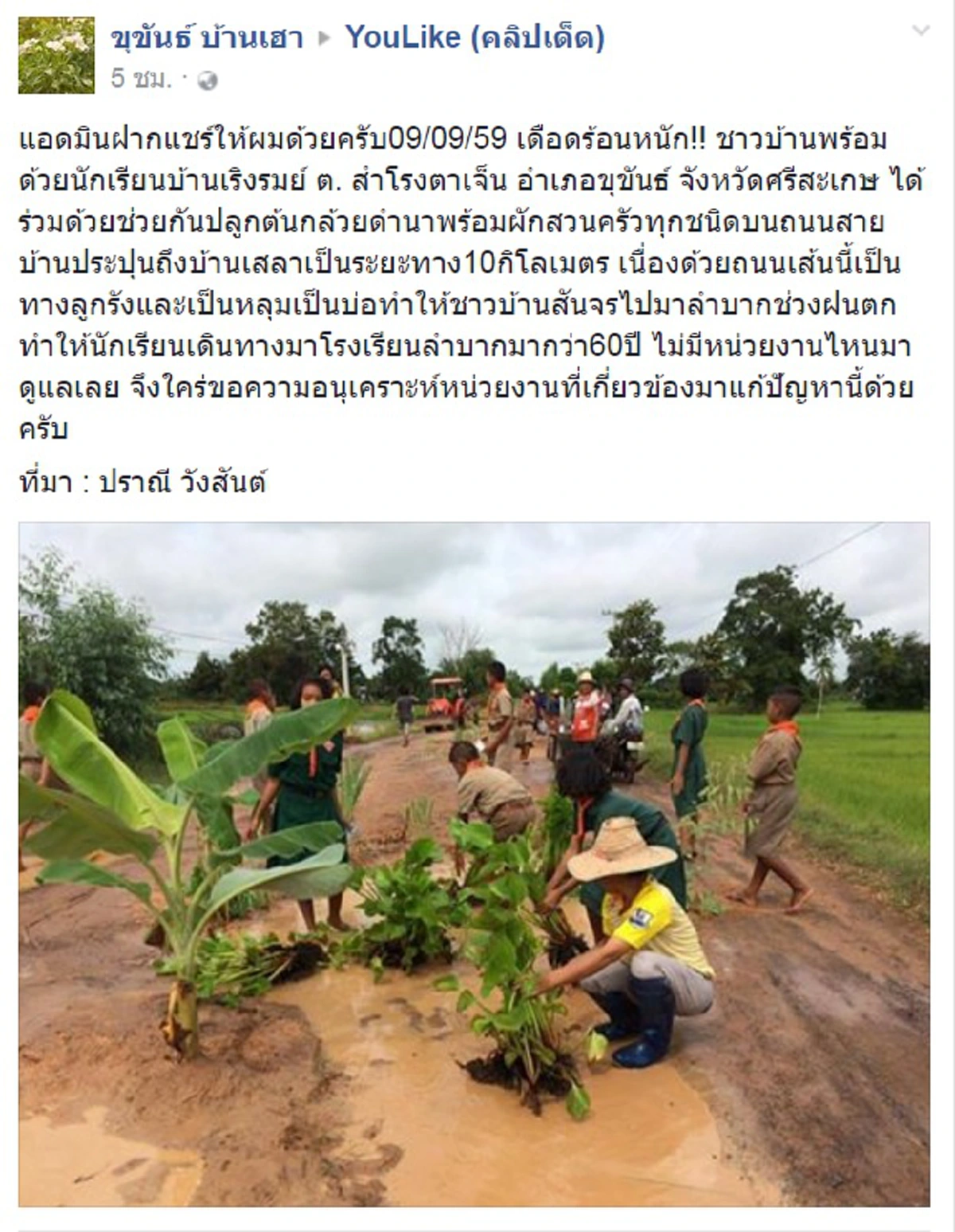 60ปีที่ไร้เหลียวแล!! ชาวบ้านศรีสะเกษลงมือทำแปลงเกษตรบนถนน ประชดความยากลำบากชีวิตเดินทางไปมาร้องเรียนที่ไหนก็ไม่มีใครสนใจ?