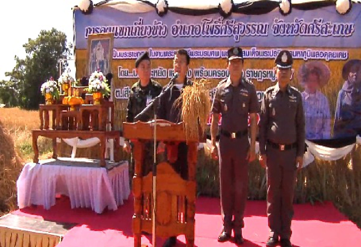 อนุโมทนาบุญหลายๆ! ผู้ว่าฯศรีสะเกษนำพ่อค้าปชช.ร่วมลงแขกเกี่ยวข้าวแปลงนา15ไร่ "คุณยายมี" น้อมเกล้าถวาย"พ่อหลวง"นำสีข้าวสารหุงแจกสนามหลวง !?!