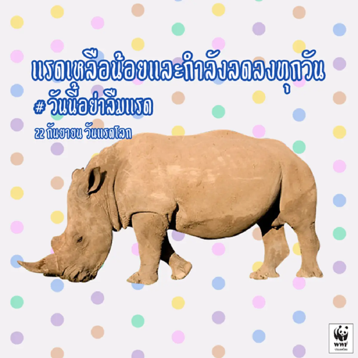 อย่าลืมแรด!!! ร่วมอนุรักษ์และต่อต้านการล่านอแรด เนื่องใน "วันแรดโลก" 