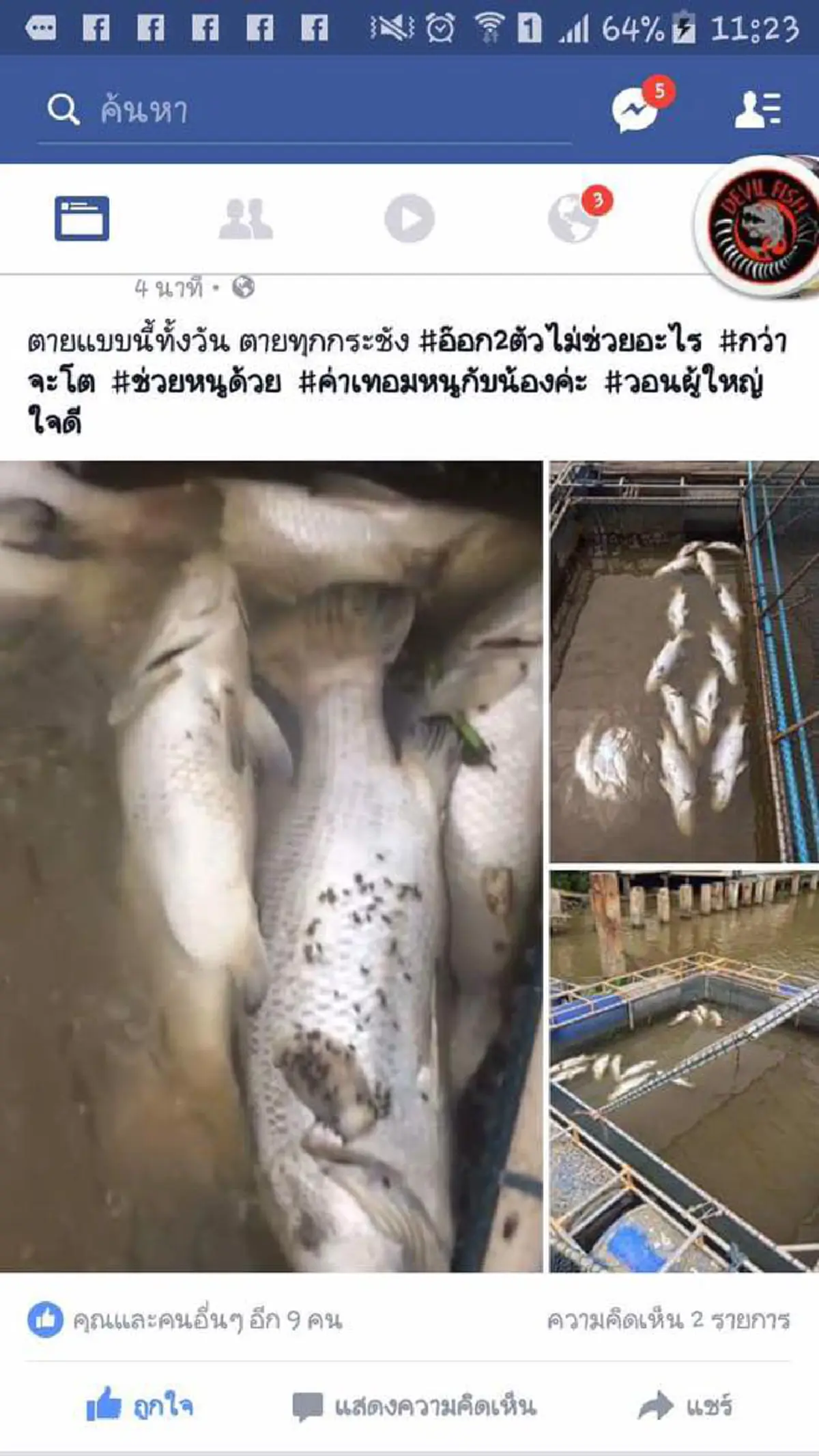 วุ่นเลยทีนี้!!! สัตวแพทย์คนดังโพสต์งงหนักหน่วยงานรัฐให้ข้อมูลสาเหตุปลากระเบนแม่น้ำแม่กลองตายไม่ตรงความจริง??