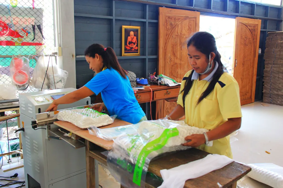 สู้โว๊ย!!! ชาวพัทลุงผลิตหมอนยางพาราขาย สู้วิกฤติยาง 4 โล 100