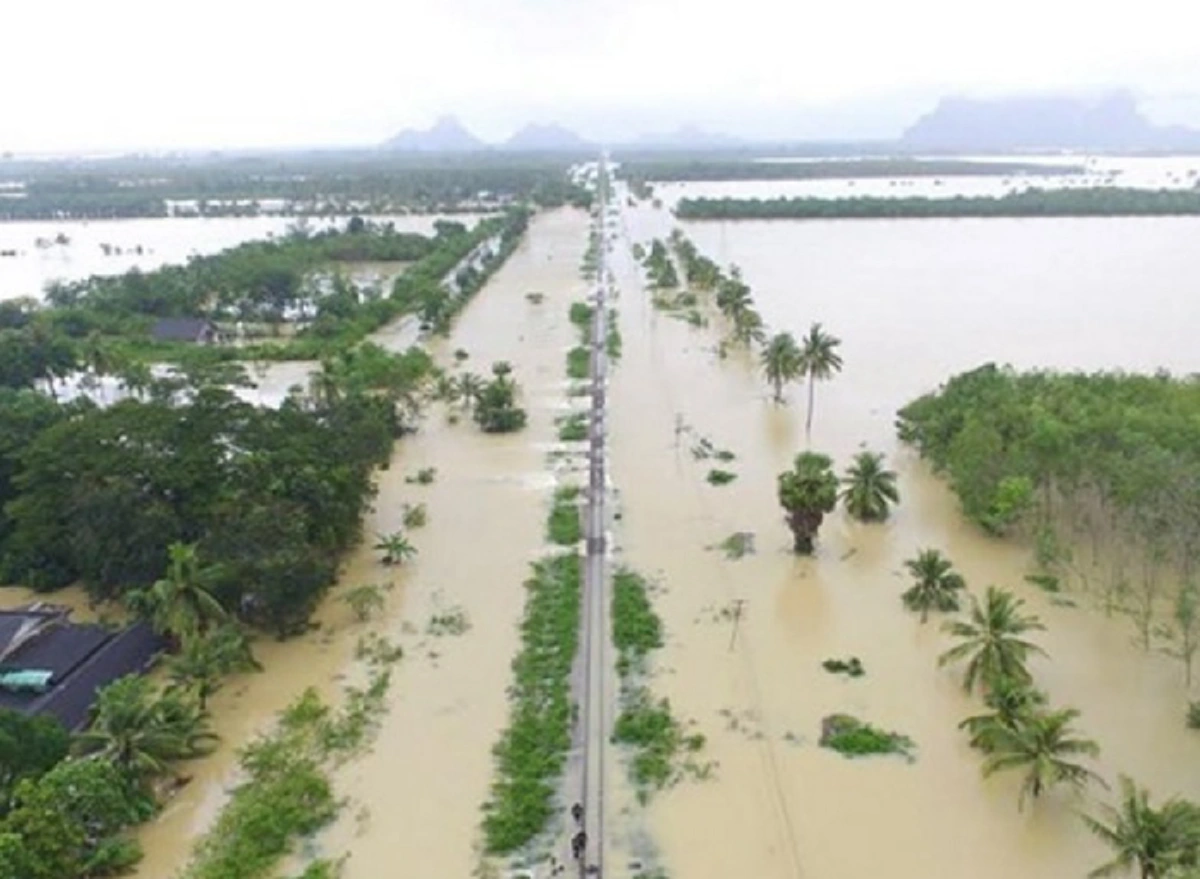 ในโชคร้าย..พรุ่งนี้มีข่าวดี!! ดร.รอยลยันฝนภาคใต้จะเริ่มลดปริมาณ เอาใจช่วย"บิ๊กป๊อก"ฟื้นฟูแผ่นดินด้ามขวานให้กลับมาเป็นทองอำไพเหมือนเดิม
