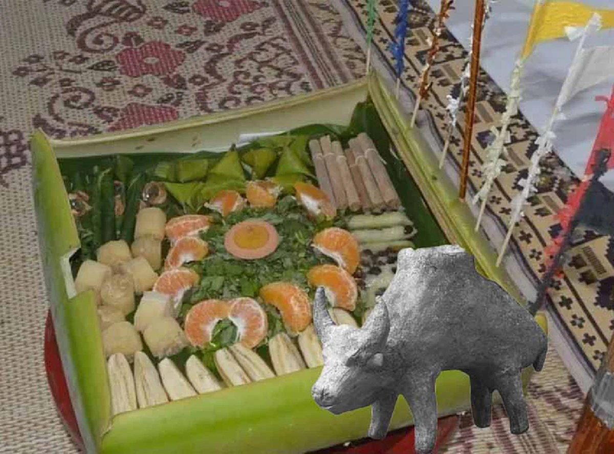 ลืม "ต๊ะตุนตวง"ไปเลย!! เมื่อเจอ!! "ควายสะตวง"!?  Cover เวอร์ชั่นกำเมือง! ความหมายเจ็บแสบ ปวดร้าวยันขั้วหัวใจ!!? (คลิป)