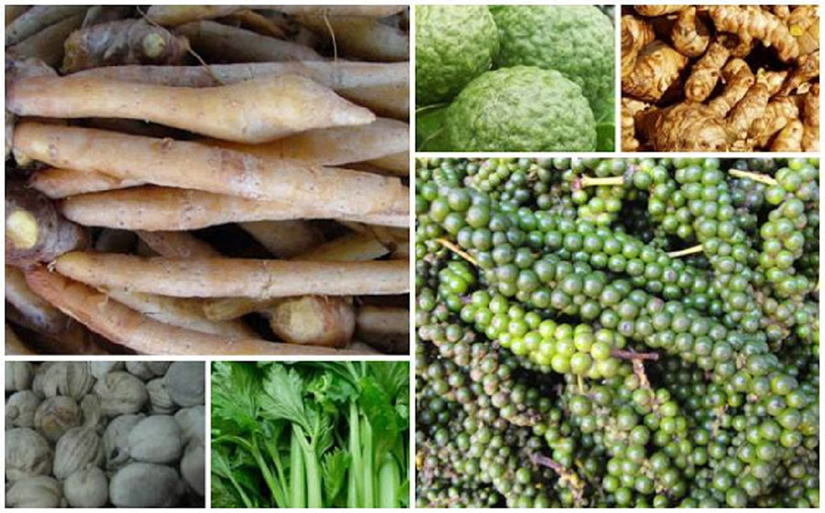 อยากห่างไกลโรคต้องดู!!! รวมสูตรตำรับยาสมุนไพร "หลวงปู่ศุข" แก้โรคมะเร็ง ปวดเมื่อย เบาหวาน เห็นผลชะงัดทันตา รู้แล้วรีบแชร์ด่วน