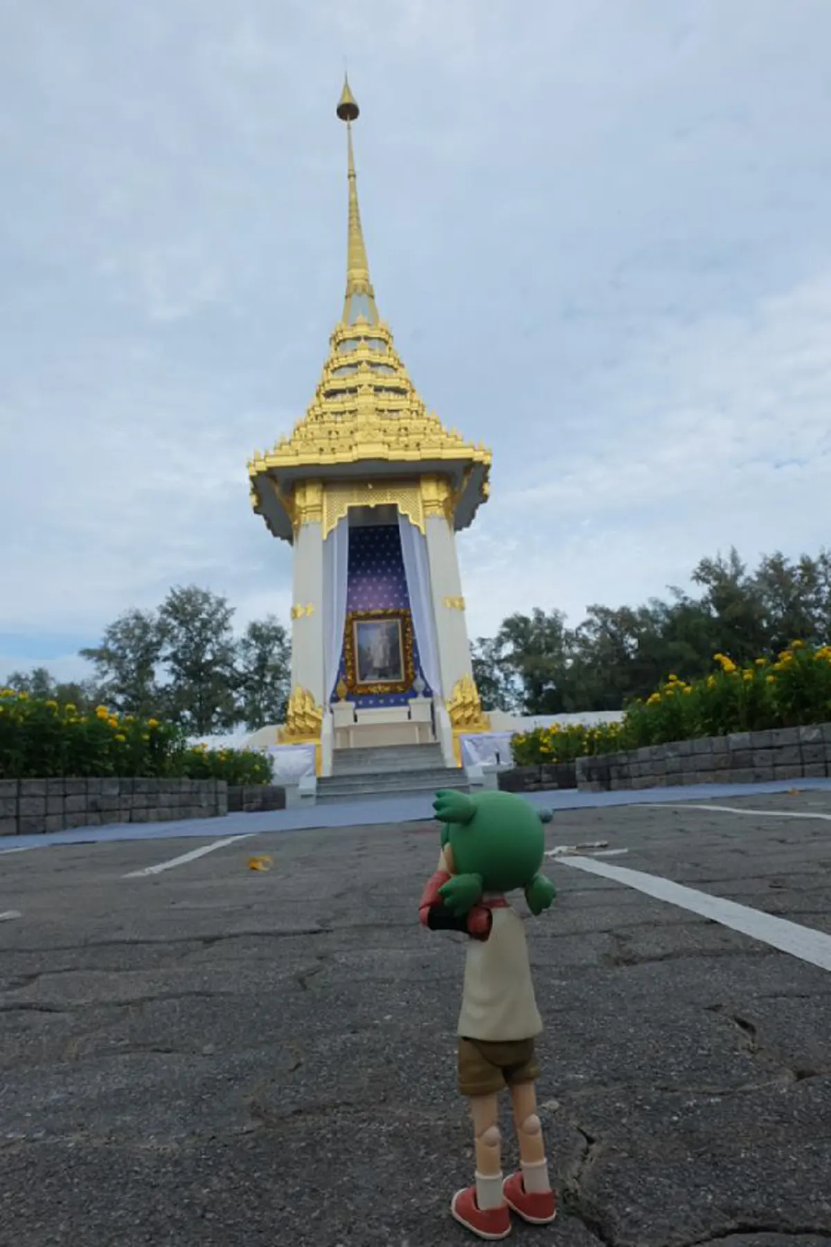 สุดประทับใจ!พสกนิกรสายฟิกเกอร์ สร้างสรรค์ภาพถ่ายถวายความอาลัยชาวเน็ตแห่ชื่นชม