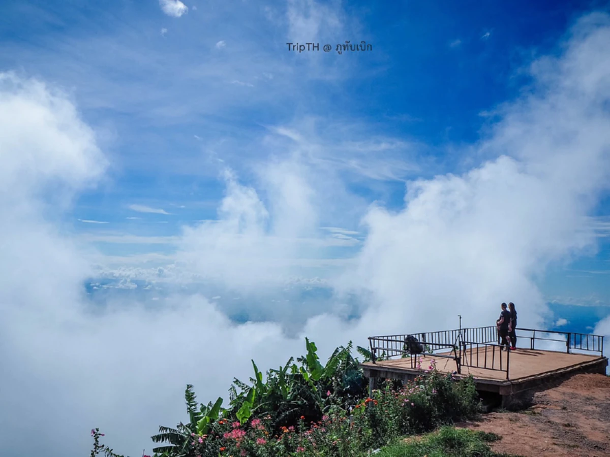 สวยโคตรๆ!!!บรรยากาศปลายฝนต้นหนาวภูทับเบิก ภาพที่มีคนกดไลค์กดแชร์กันกระหน่ำ เพราะแค่เห็นก็ฟินสุดๆ (มีภาพ)