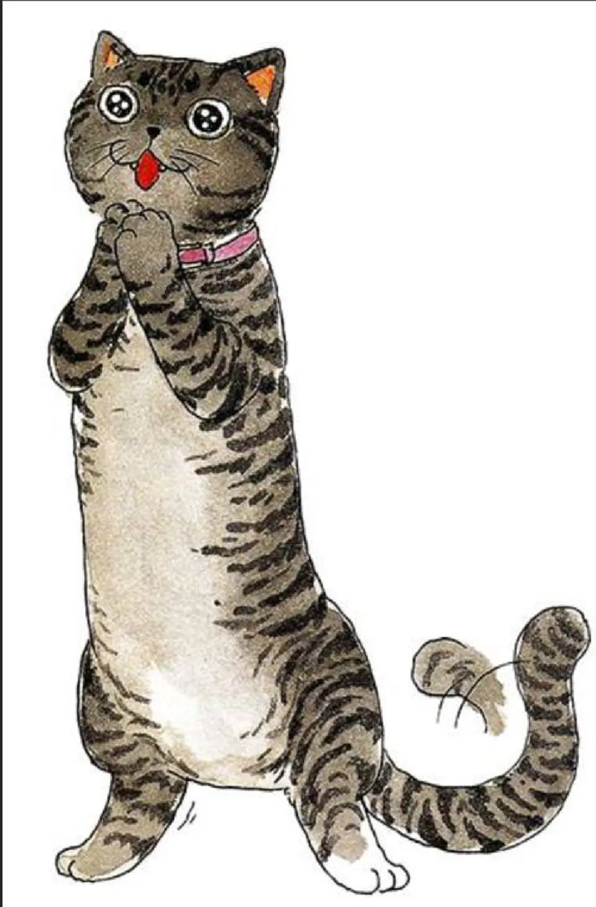 น่ารัก.....แมวทรงเลี้ยงของสมเด็จพระเทพฯ  ใบตอง  บ๊อบ ฟรุ๊งฟริ๊ง