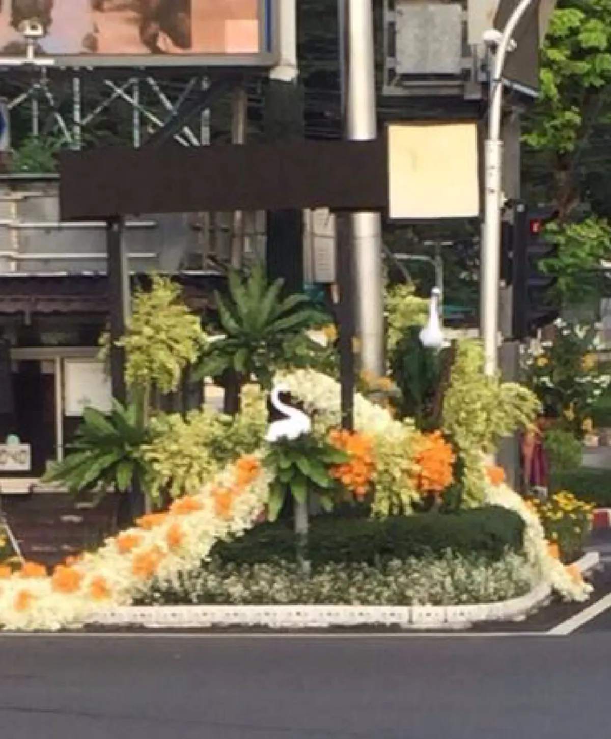 สวยงามตระการตาสุดๆ!!!ถนน6สายที่มุ่งสู่มณฑลพิธีท้องสนามหลวงถูกประดับตกแต่งด้วยดอกไม้สีเหลืองตลอดเส้นทาง (มีภาพ)