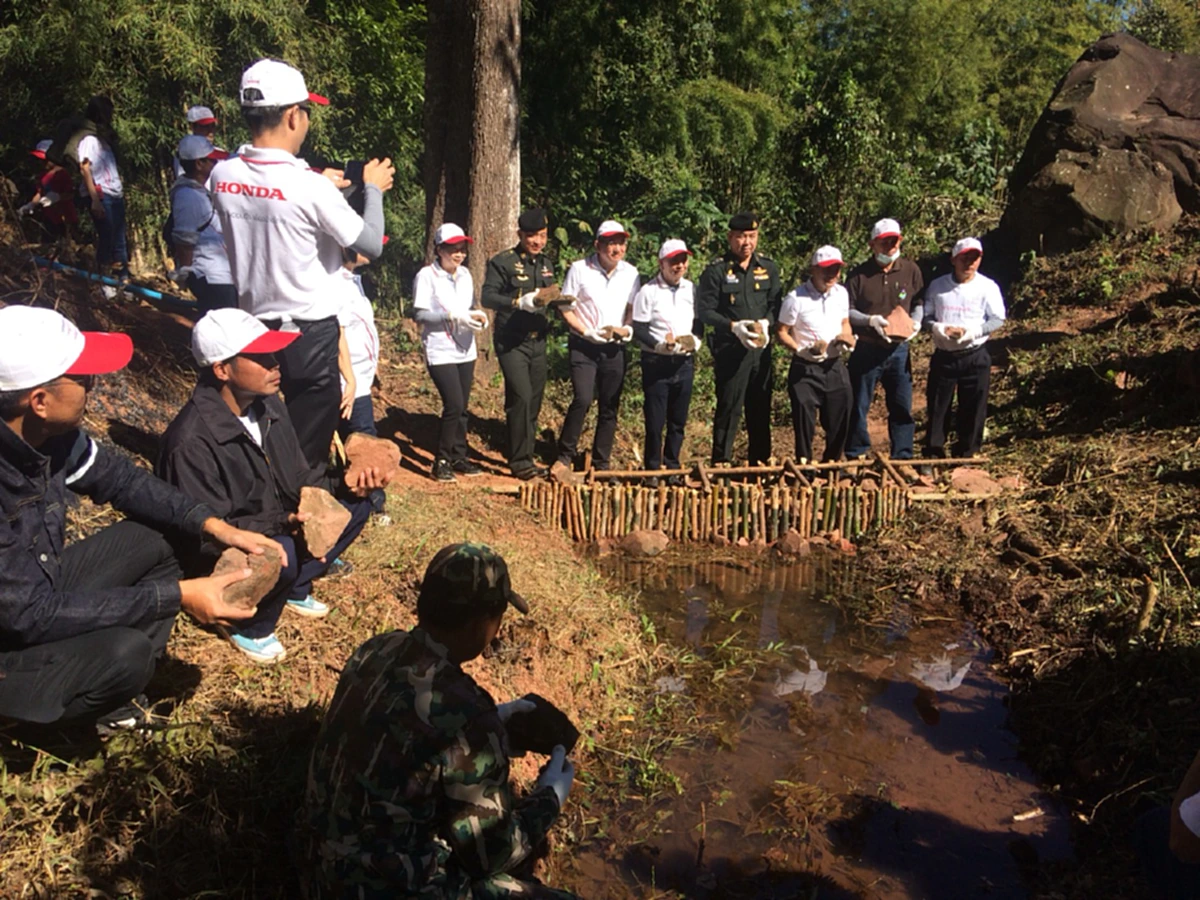 “ดร.รอยล”ชี้ฟื้นฟูเขาหัวโล้นน่านเห็นผล คาดหลังปี 62 พื้นที่นำร่อง “ดงผาปูน-นาบง”สร้างประโยชน์ 4,700 ครัวเรือน