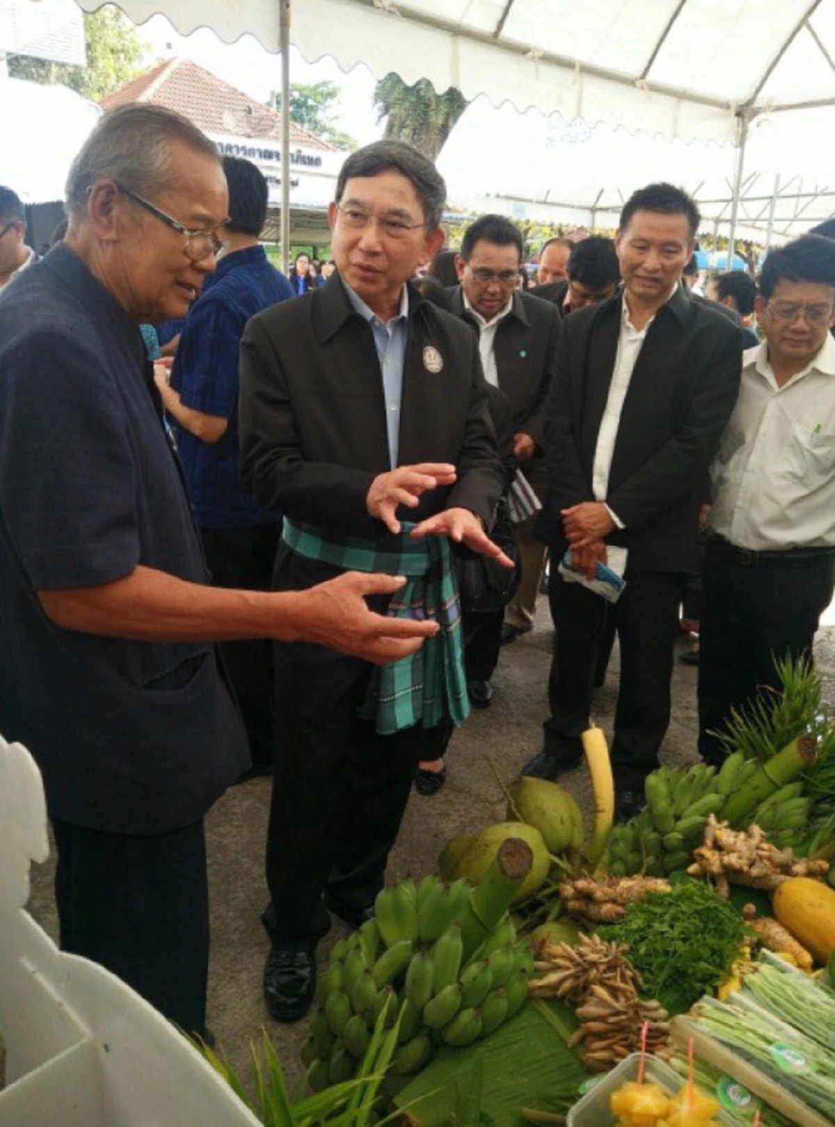 รัฐบาลขับเคลื่อน เกษตรอินทรีย์ หวังสร้างผลิตภัณฑ์ออร์แกนิค เพิ่มรายได้ให้เกษตรกรอย่างยั่งยืน