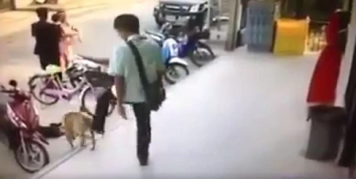 อยู่ดีไม่ว่าดี!! หนุ่มพิเรนทร์คึก! เตะหมา กำลังงีบอย่างแซ่บๆ เคืองจัด! เจอคมเขี้ยวสวนกลับไม่ยั้ง จนต้องหนีกระเจิง (คลิป)