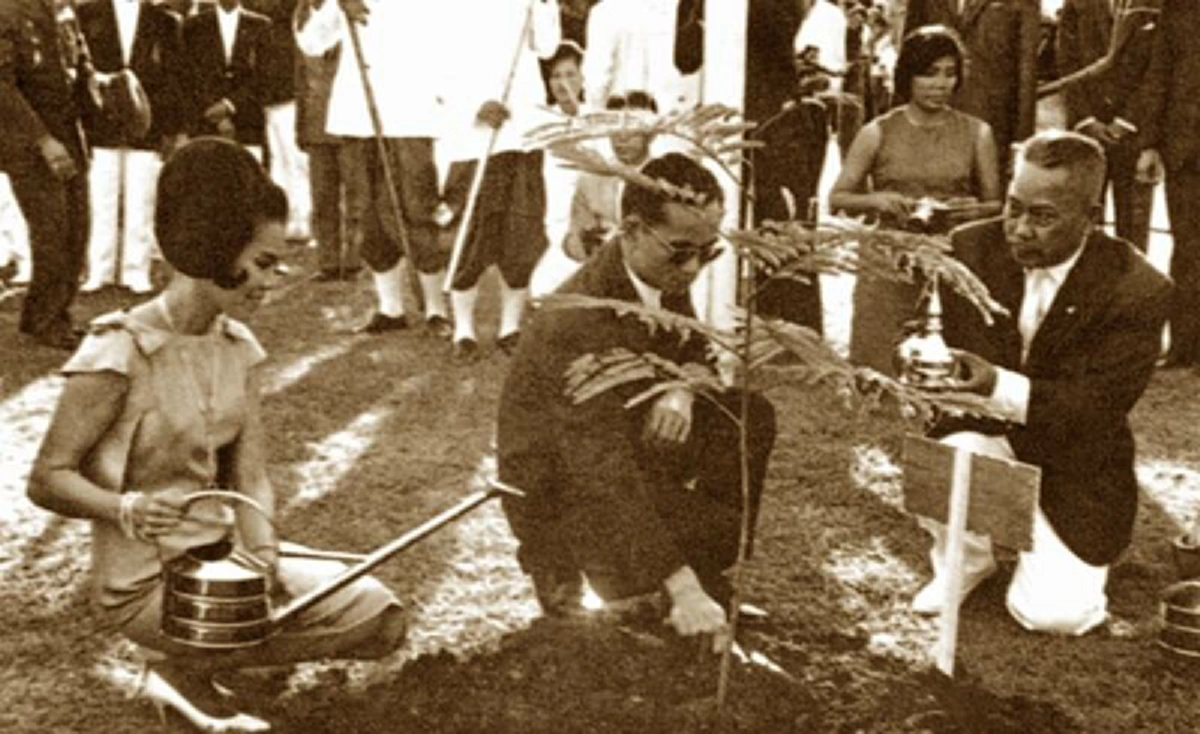 "นนทรีทรงปลูก ดนตรีทรงโปรด"  พระมหากรุณาธิคุณล้นพ้นต่อชาวเกษตรฯ ในหลวง ร. 9  เสด็จ 9 ครั้งใน 9 ปี