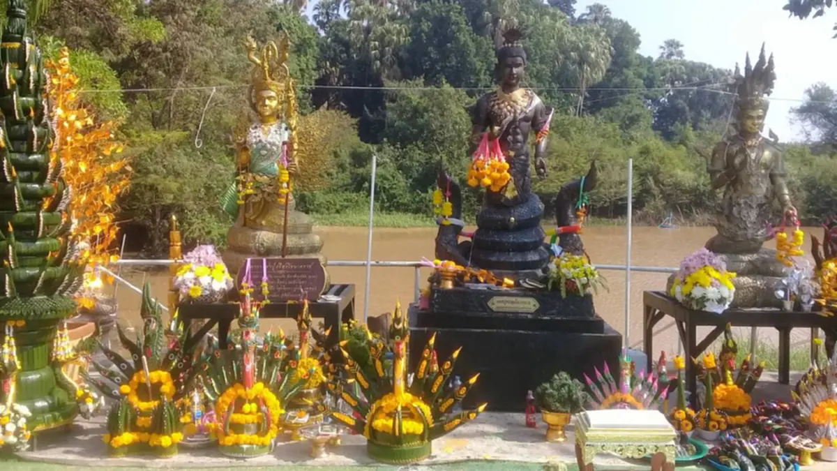 นาคน้อย ร่ายรำถวาย พ่อปู่ศรีสุทโธ - แม่ย่าศรีปทุมมา ชูไม้ชูมือเป็นเลข