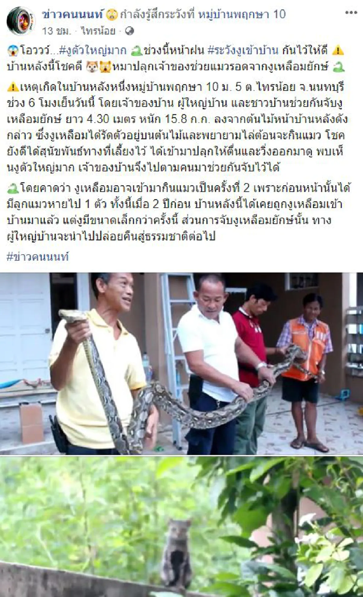 งูเหลือมยักษ์ 4.5 เมตรบุกเข้ามากินแมวในบ้าน ตูบแสนรู้รีบไปตามเจ้าของมาช่วย