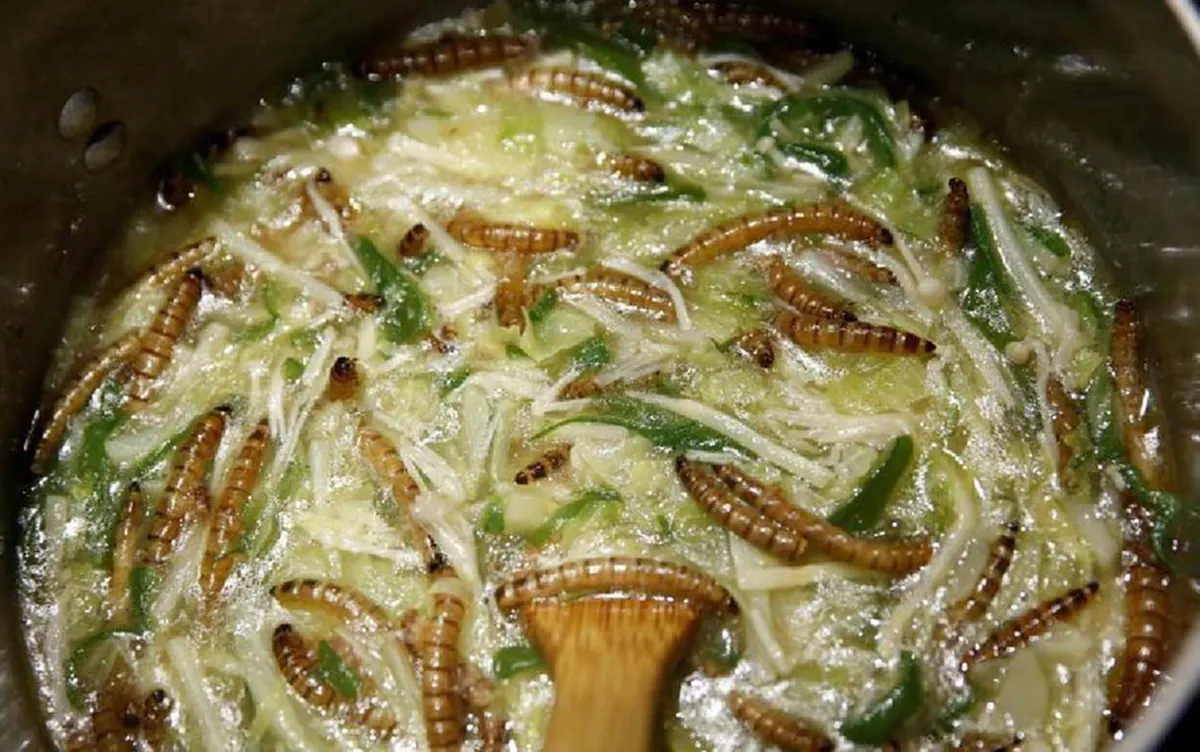 ตัวอะไรเนี่ย!! กินราเมงในญี่ปุ่น! แทบช็อก! เห็น "แมลง" ตกไปตาย! แว้บแรก!นึกว่าอาหารไม่สะอาด? อ๋อ!! ที่แท้มันคือเมนูใหม่