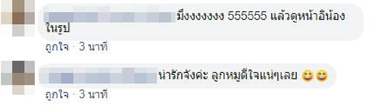 เจ้าลูกหมูหายออกจากบ้าน เจ้าของลั่นวาจาถ้ากลับมาจะเลี้ยงโต๊ะจีน สุดท้ายมันกลับมาจริง งานนี้ต้องรักษาคำพูด!