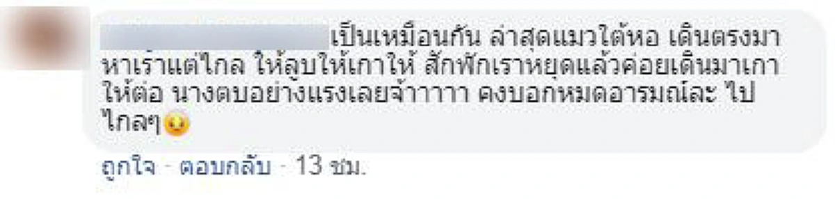 โค้ชสั่งเด็กๆตั้งใจฝึกซ้อม หันไปเจอแมวส้มอดใจไม่ไหว \"พักแปปนึงพี่ขอเล่นแมวก่อน\"