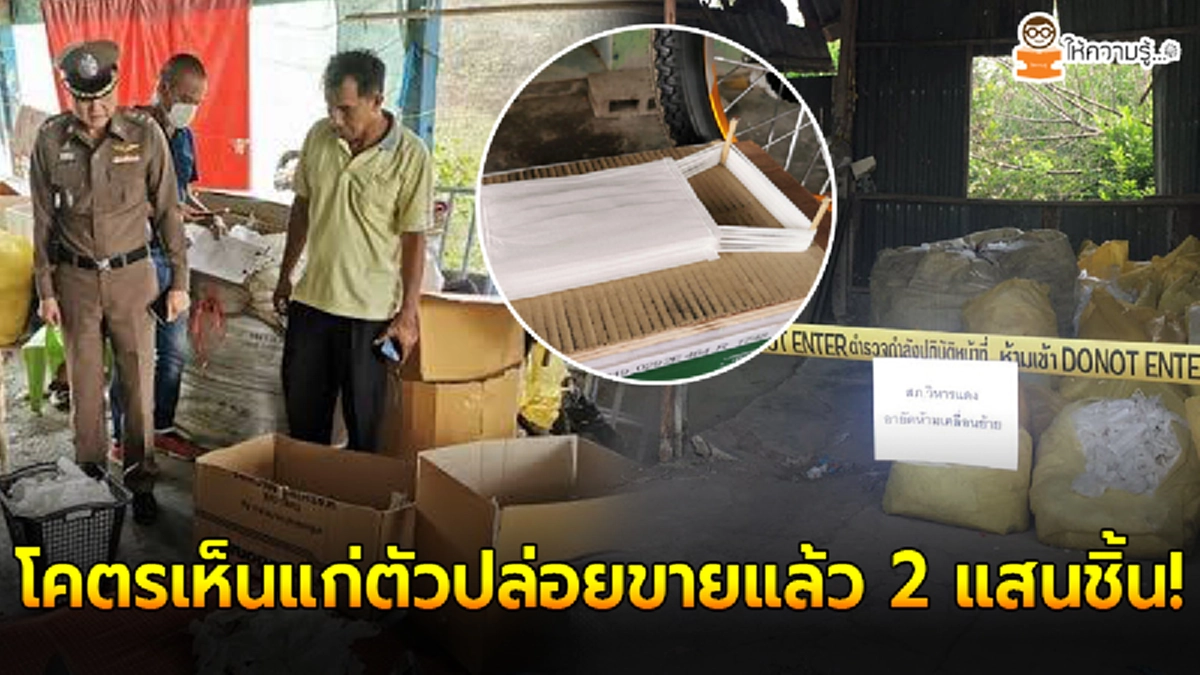 กองปราบบุกรวบสาวแสบ โพสต์แชร์ทั่วปท.หลอกขายหน้ากากอนามัย คนหลงเชื่อสูญหลายแสน