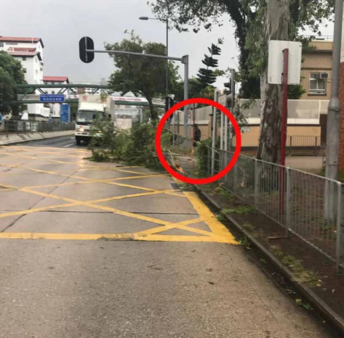 *ขยี้ตารัวๆ!!! แชร์สนั่นโซเซียล “พระเอกดังรุ่นใหญ่” รวยล้นฟ้าระดับพันล้าน แต่ใช้ชีวิตติดดินอย่างคนธรรมดาทั่วไป ทั้งๆที่เขาดังมาก!!! (ชมคลิป)