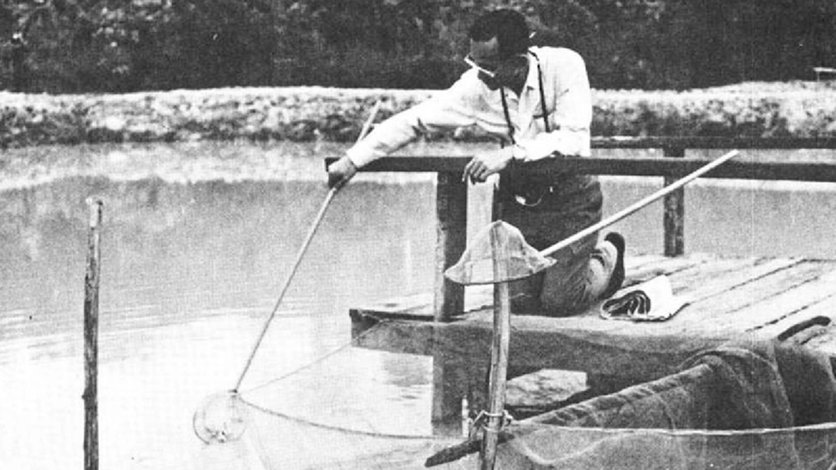 ๒ พระราชาผู้ทรงรักและเชียวชาญเรื่องปลายิ่งกว่าผู้ใด จักรพรรรดิอะกิฮิโต และ ในหลวงรัชกาลที่ ๙