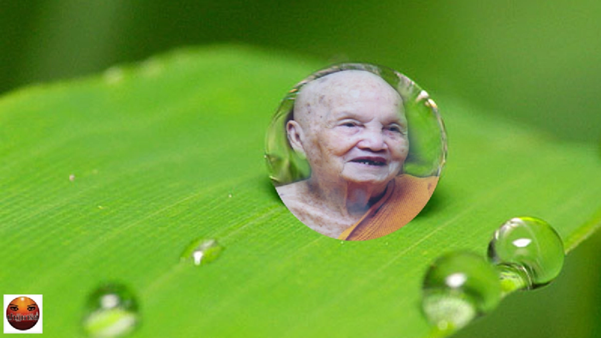 หลวงปู่จาม เล่าเรื่องเทวดาพาไปกราบศพพระมหากัสสปเถระ ที่ตั้งในป่าหิมพาน หลวงปู่ตื้อ ก็ยืนยันว่าได้เคยไปสถานที่นั้นในญาณบารมี