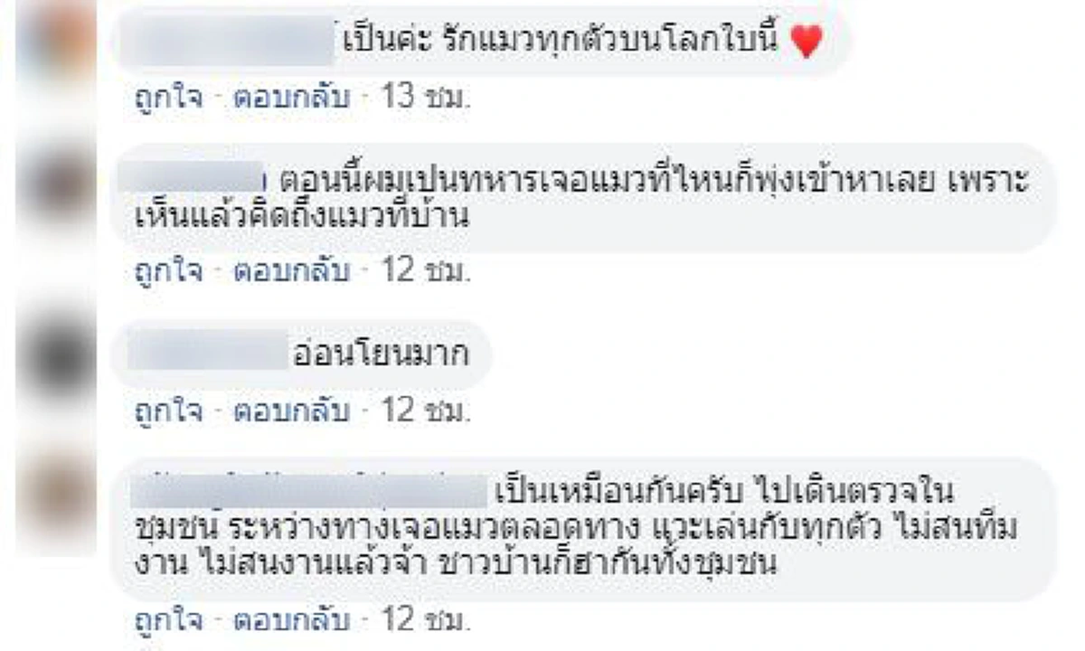 โค้ชสั่งเด็กๆตั้งใจฝึกซ้อม หันไปเจอแมวส้มอดใจไม่ไหว \"พักแปปนึงพี่ขอเล่นแมวก่อน\"