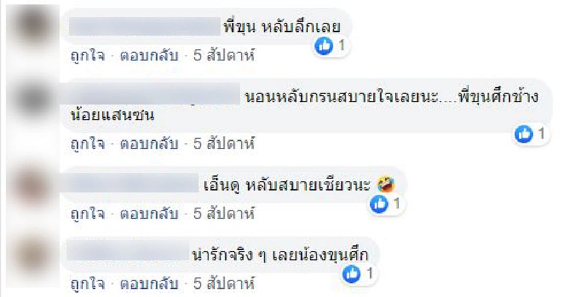 เจ้าขุนศึกช้างน้อยนอนกรนเสียงดัง ขโมยหัวใจแฟนคลับ (คลิป)