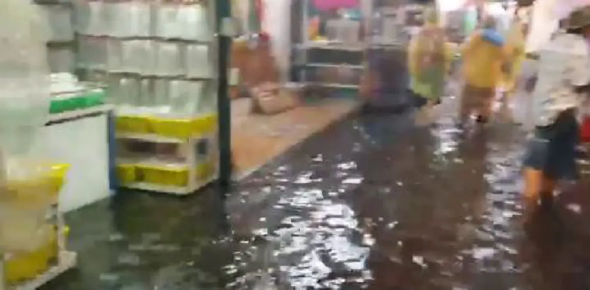 โซเชียลเผยคลิปตลาดสำเพ็ง ฝนตกน้ำท่วมขังจนกลายเป็นตลาดน้ำ (คลิป)