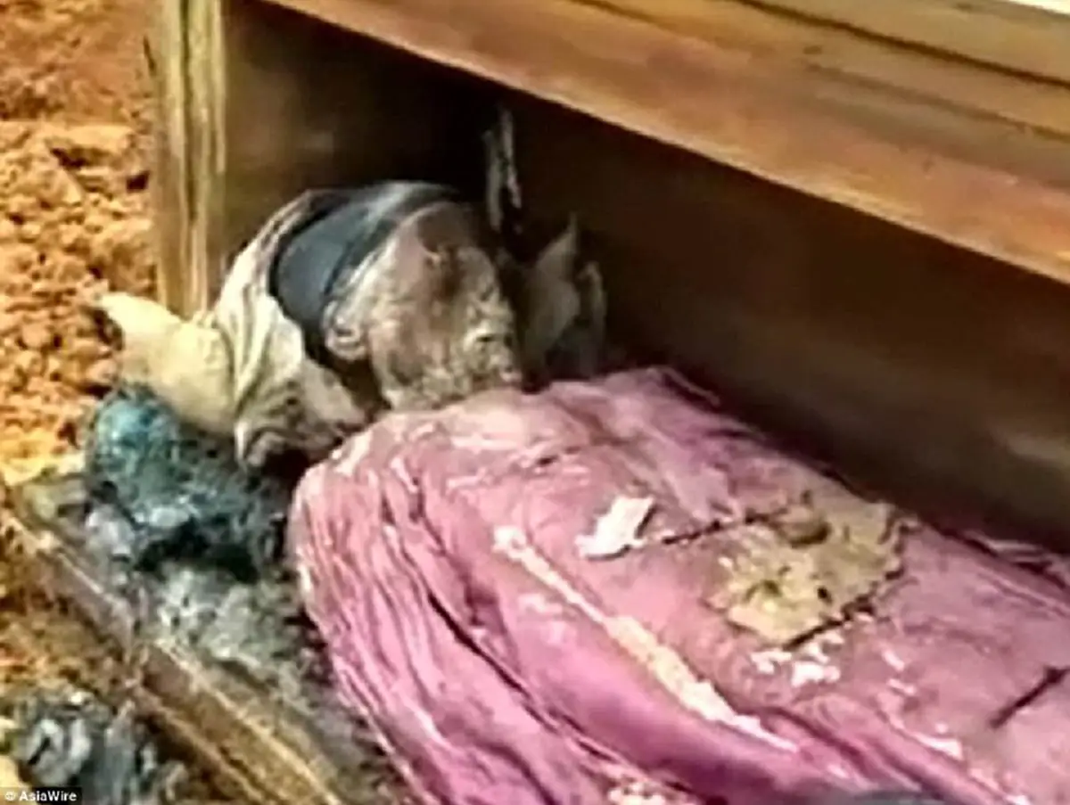 ตะลึงทั้งไซต์งาน!!  คนงานก่อสร้าง ขุดพบโลงศพโบราณ พอเปิดดูแทบช็อก! พบ "พัด" ติดมาด้วย! โอ้ว...ท่านคือขุนนางผู้ยิ่งใหญ่ในยุคโบราณ!