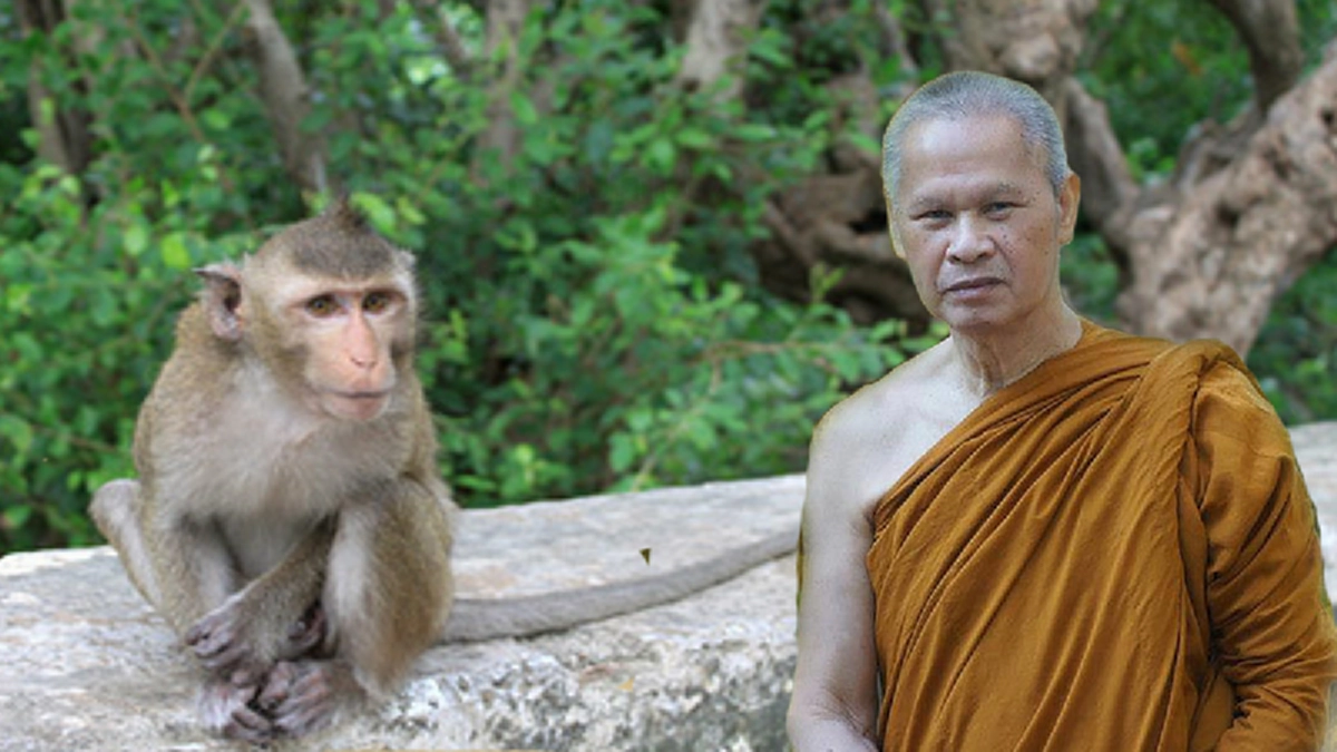 เจ้ากรรมนายเวร หนีอย่างไรก็ไม่พ้น!! แม้เกิดใหม่เป็นเดรัจฉาน ยังมีบ่วงแค้นฝังใจข้ามภพชาติ ตามผูกพยาบาทไม่สิ้นสุด #ประสบการณ์พระป่า