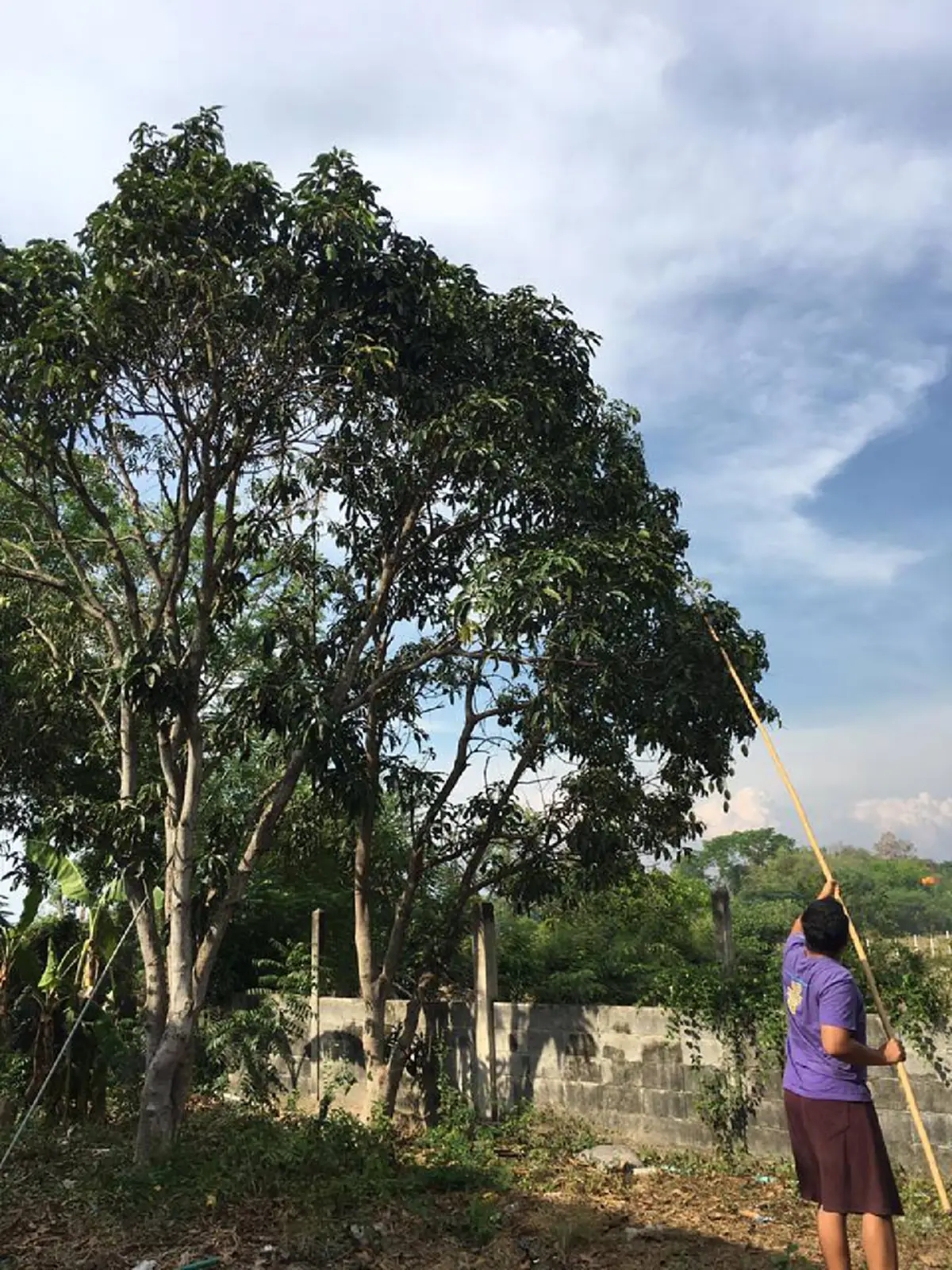 **หลังนี้แหละ !! บ้านของ "แมงปอ ชลธิชา" ที่หลายคนไม่เคยเห็น ไม่ใหญ่โตหรูหรา แต่เต็มไปด้วยความอบอุ่น !