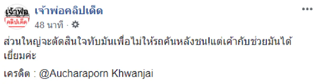 ฮีโร่สุดๆ เจ้าของเก๋งใจบุญเจอตูบน้อยกลางถนนใหญ่ ตัดสินใจจอดรถขวางช่วยชีวิต สาธุอนุโมทนากุศลจริงๆ