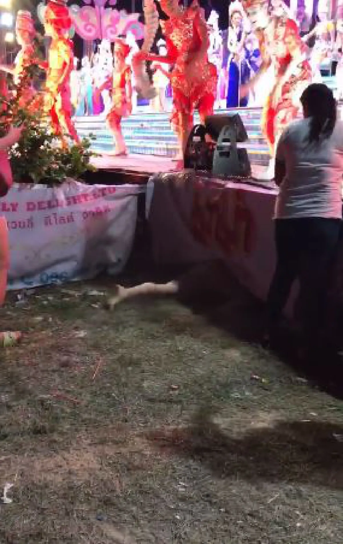 หนุ่มดูหมอลำ เต้นหน้าฮ้านแบบสุดเหวี่ยงมุดใต้เวทีหมอลำยังยืนงง (คลิป)